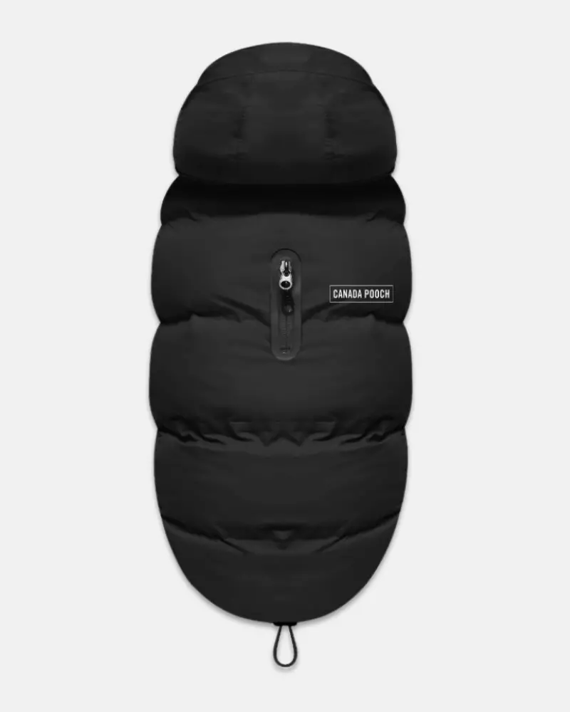 Insulated Waterproof Dog Puffer In Black (Final Sale) 1