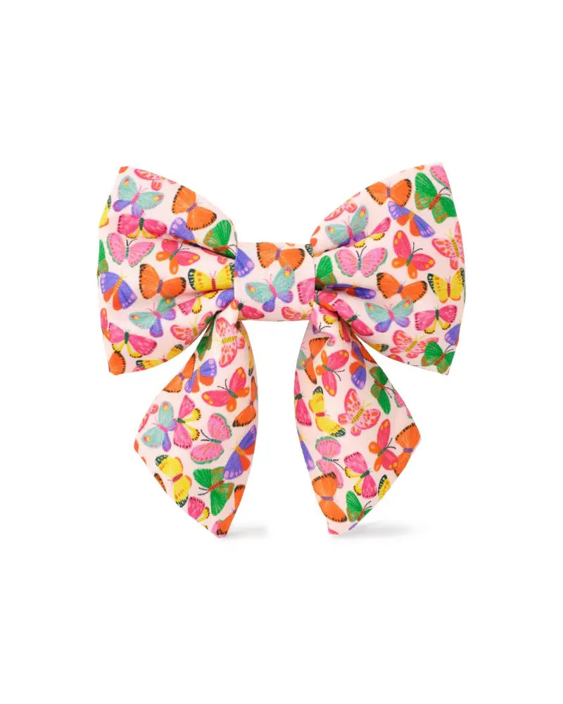 Bright Butterflies Summer Lady Dog Bow 1