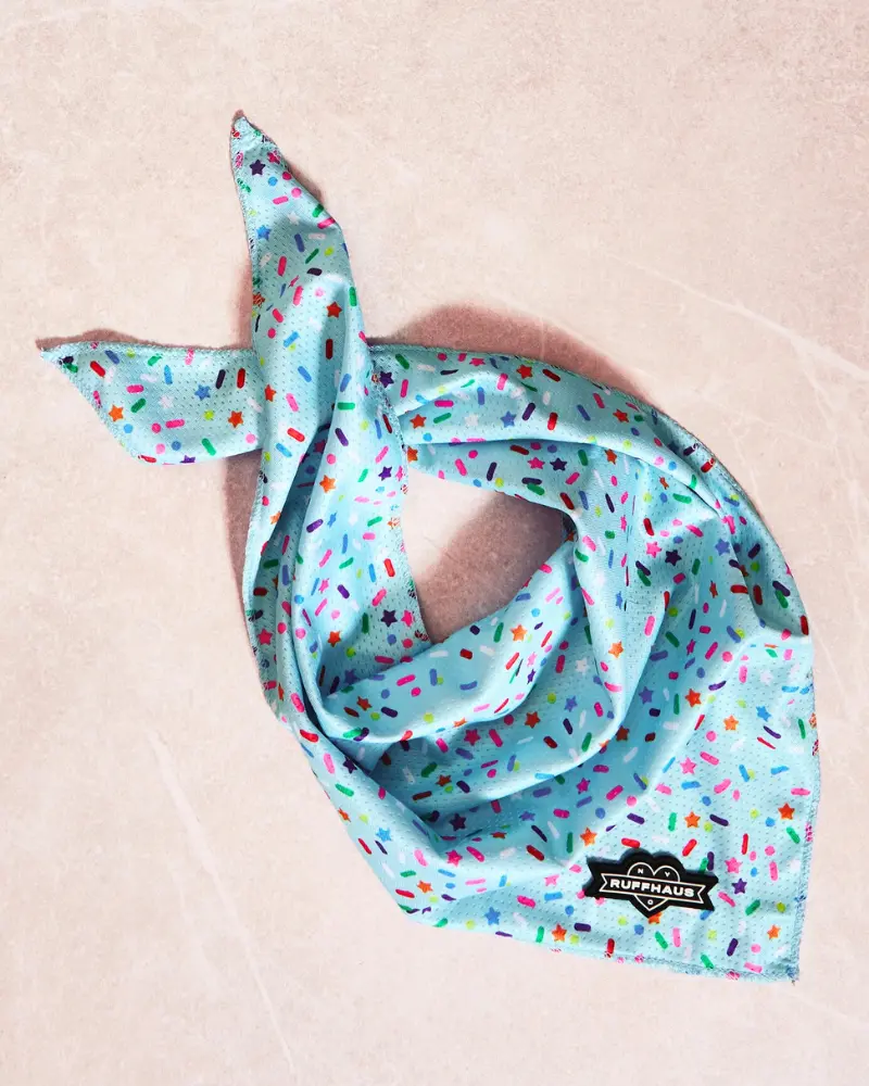 Confetti Dog Cooling Bandana (Final Sale) 1