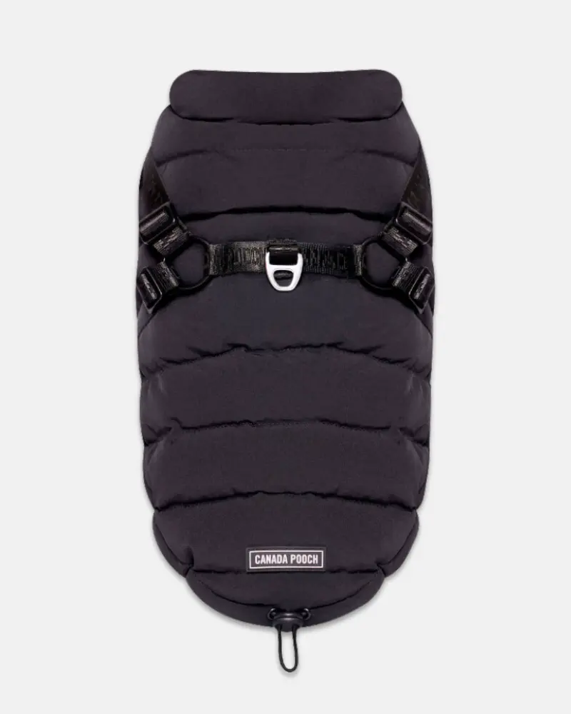 Harness Puffer Dog Jacket In Black (Final Sale) 1