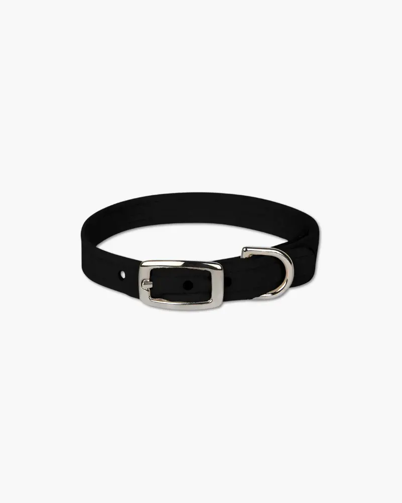 Ultrasuede Small Dog Collar In Black Or Lavender (Made In The Usa) (Final Sale) 1