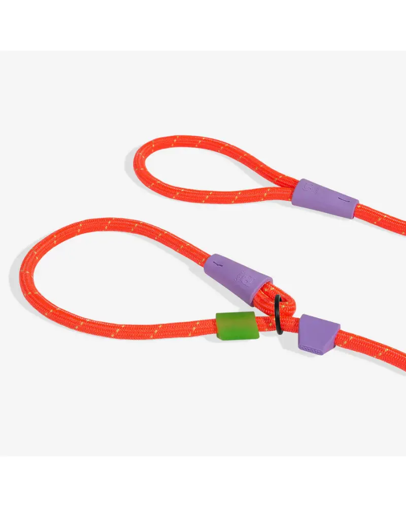 Slip-N-Lock Dog Leash In Everest 1