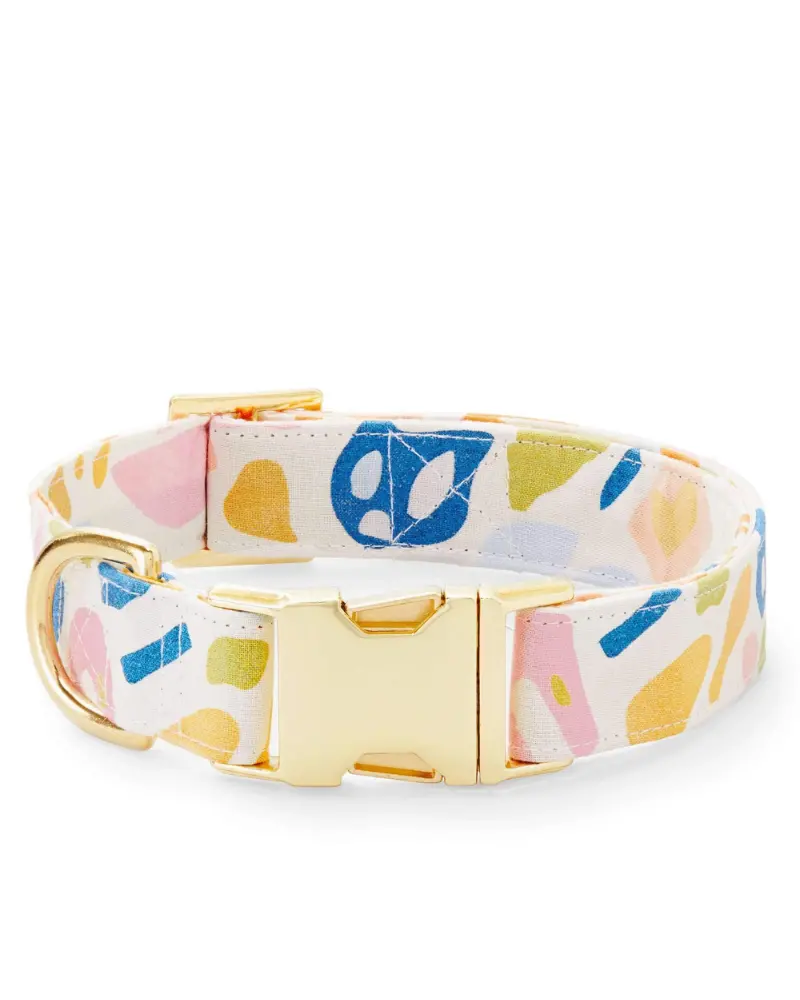 Alja Horvat Terrazzo Dog Collar (Made In The Usa) 1