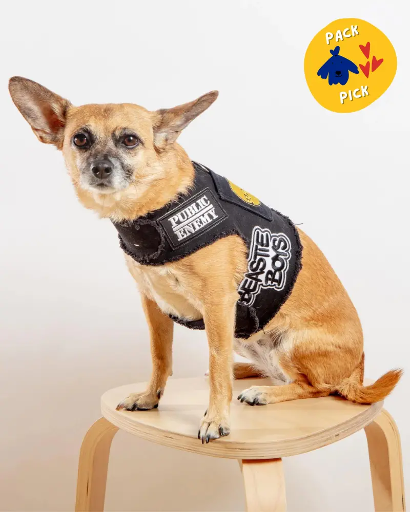 The High Life Rocker Upcycled Denim Dog Harness (Final Sale) 1