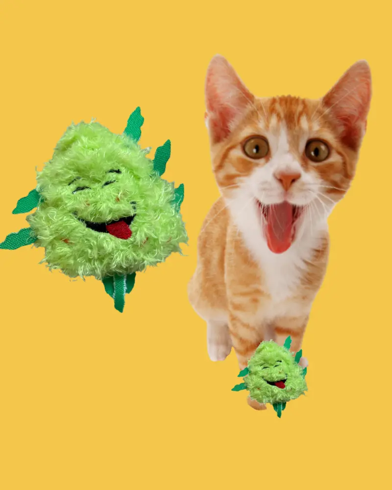Bud Jr. Catnip Cat Toy 1