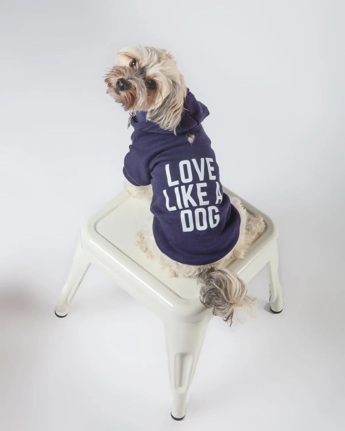 *Love Like A Dog* Graphic Hoodie (Proceeds Benefit The Aclu) 1