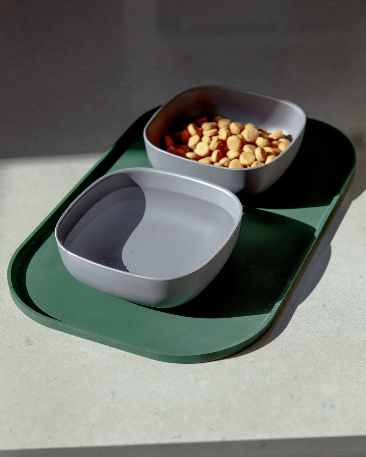 Basic Dog Placemat In Forest Green 1
