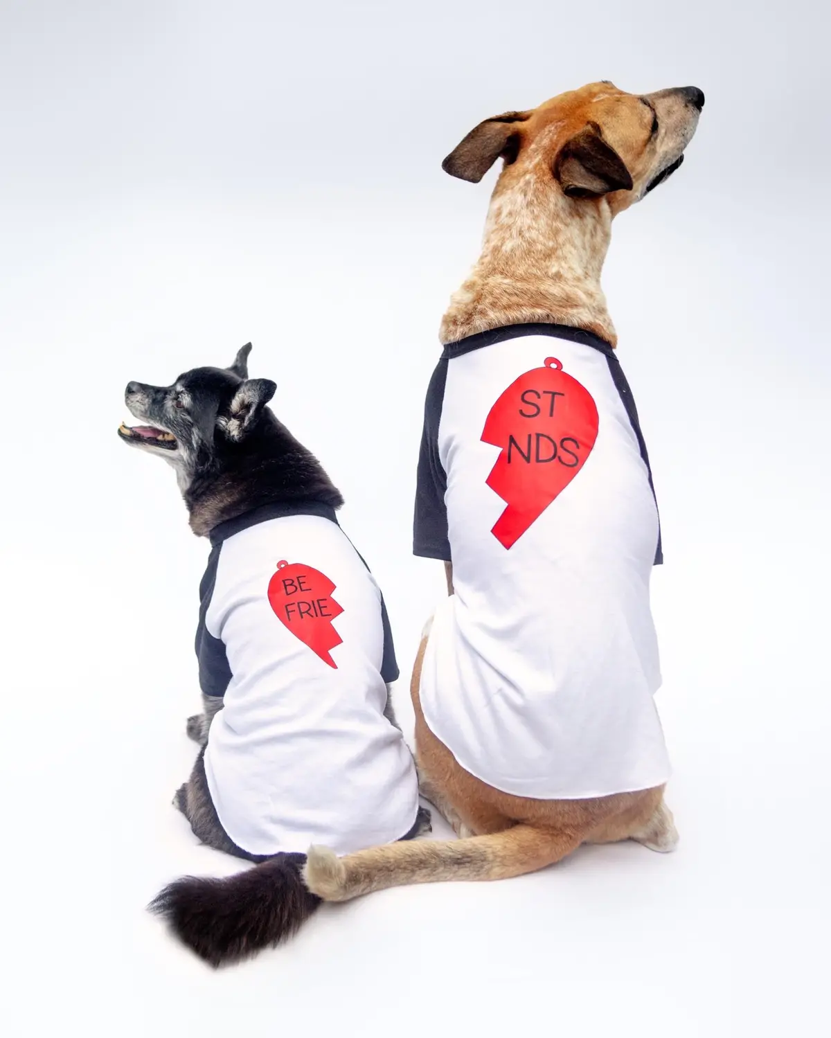 *Best Friends* Graphic Dog T-Shirt (Right Heart) (Final Sale) 1