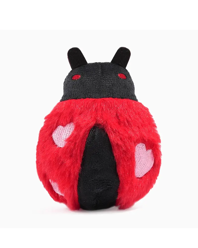 Lovebug Lady Bug 2-In-1 Squeaky Dog Toy 1