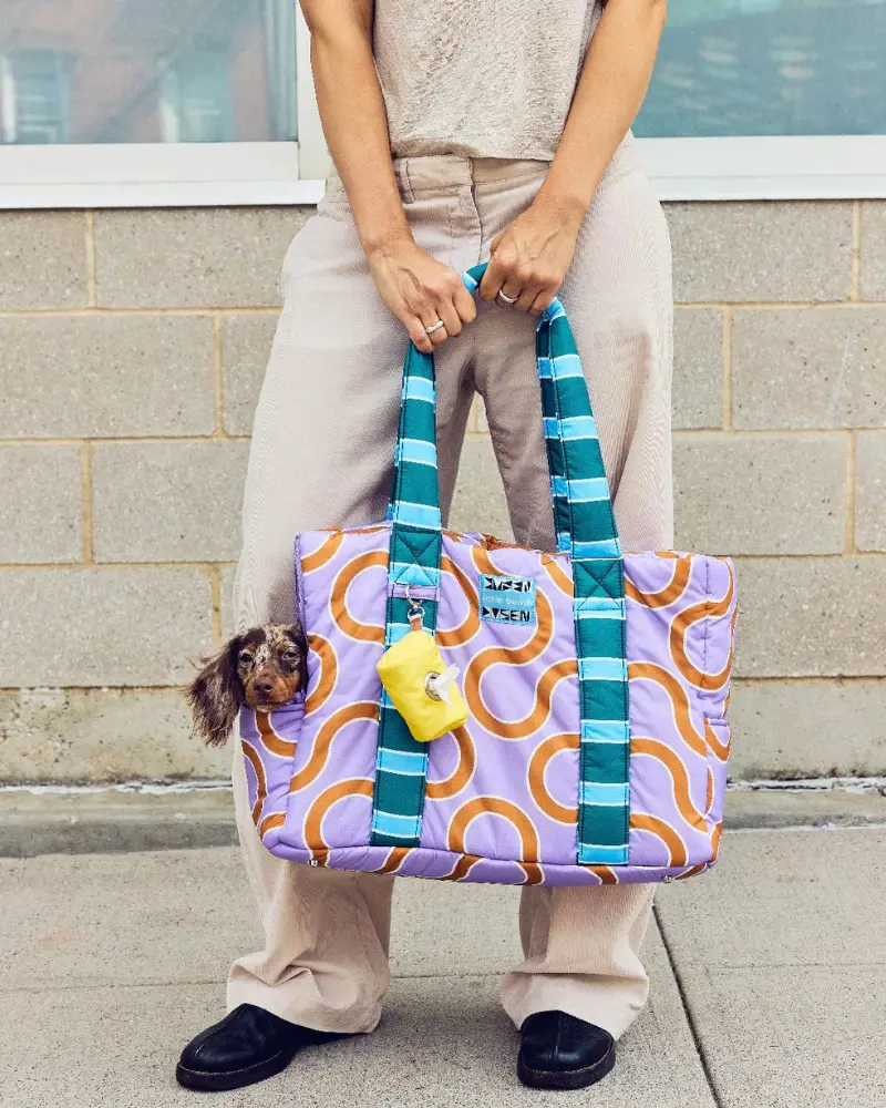 The Piscine Pet Carrier - (Little Beast X Dusen Dusen) 1