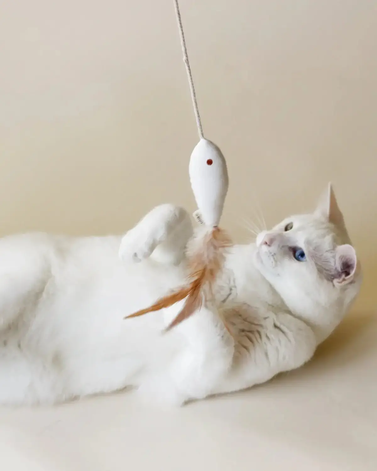 Golden Fish Catnip Toy 1