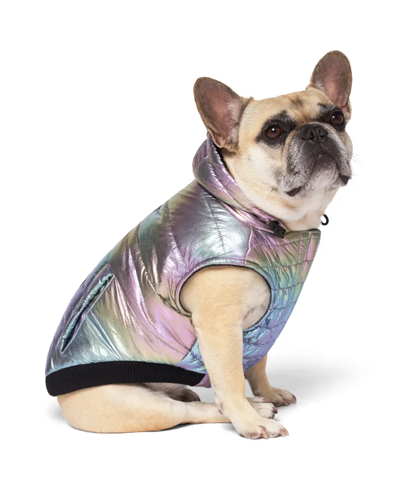 Shiny Puffer Dog Coat In Iridescent << Final Sale >> 1