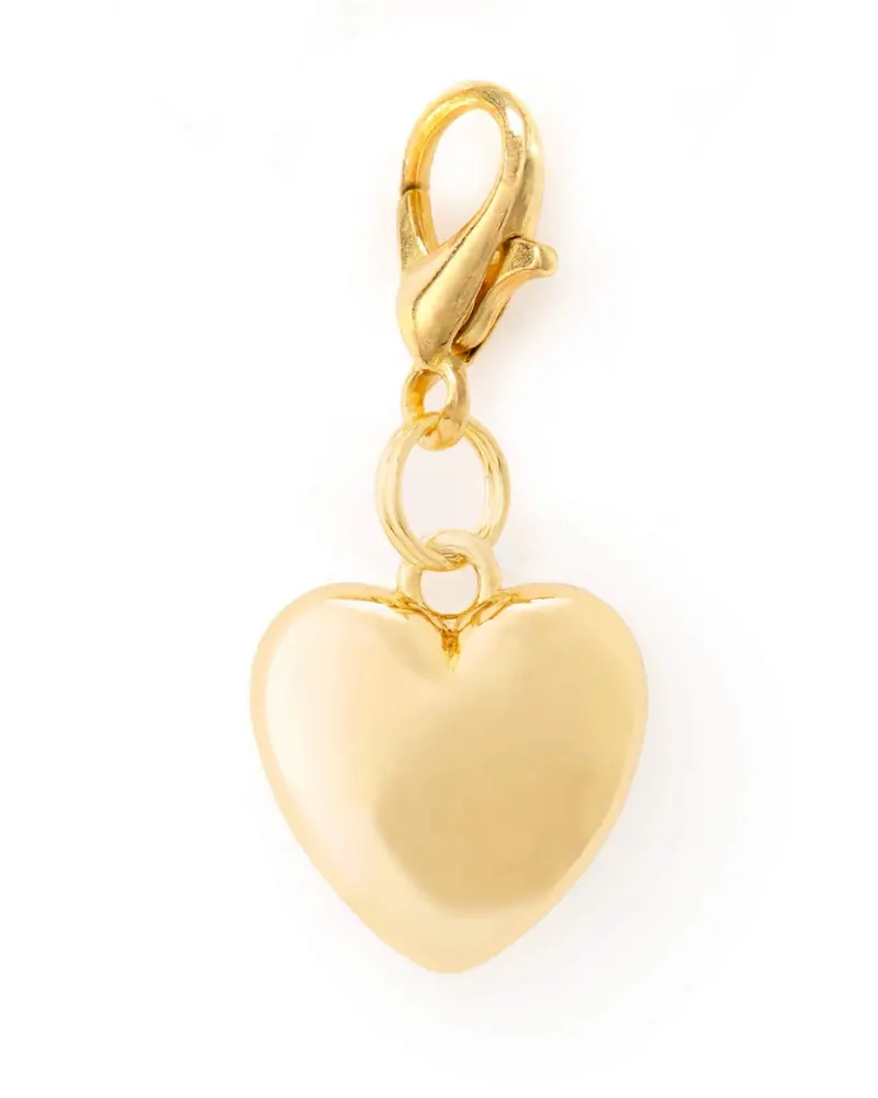 Heart Of Gold Collar Dog Charm 1