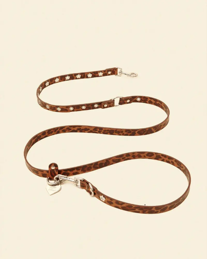 Flower Power Dog Leash In Cougar 1
