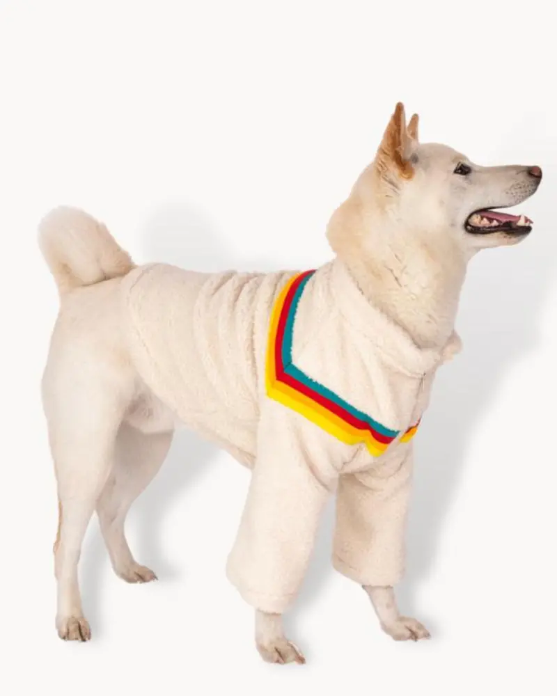 Rainbow Sherpa Dog Jacket (Final Sale) 1