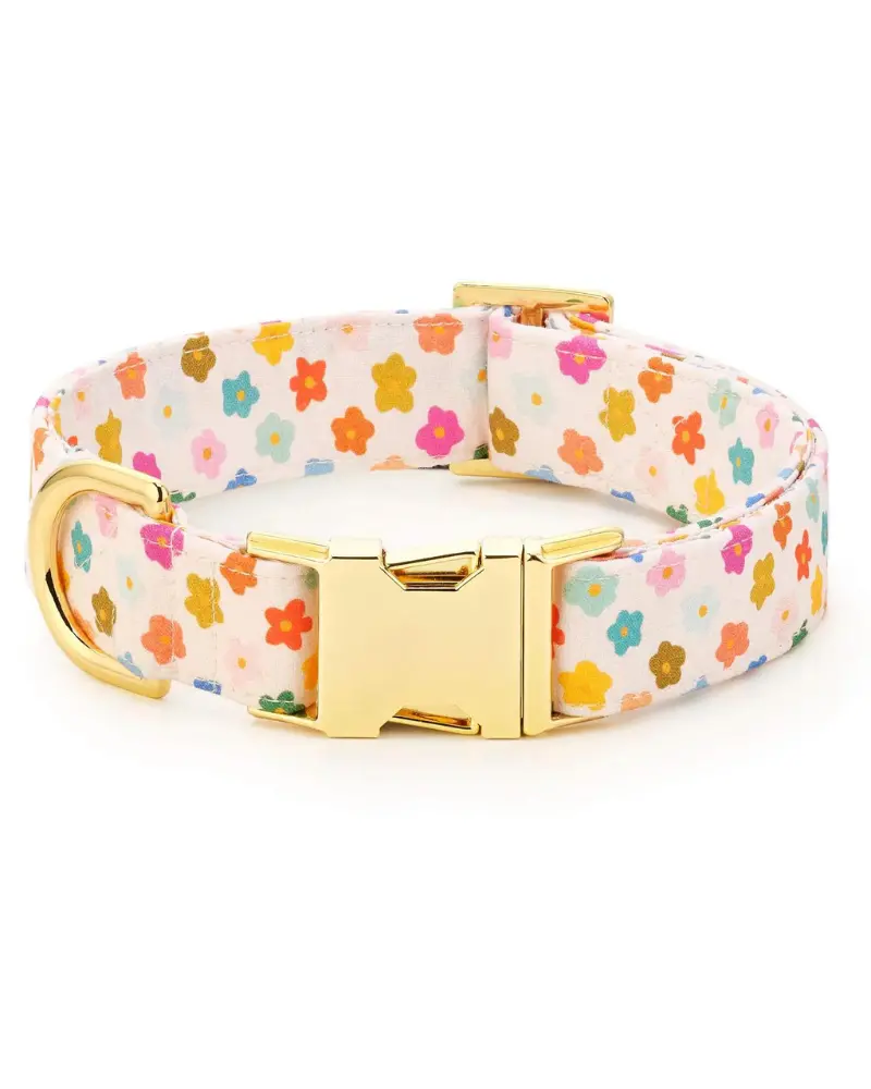 Rainbow Flower Dog Collar (Made In The Usa) (Final Sale) 1