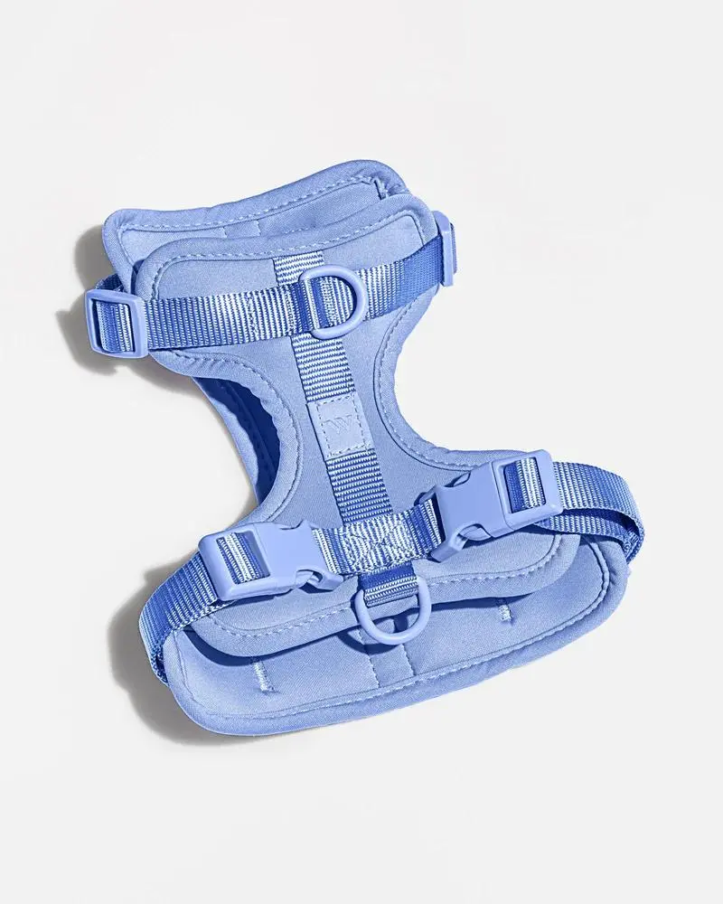 Cushioned Dog Harness In Moonstone (Final Sale) 1