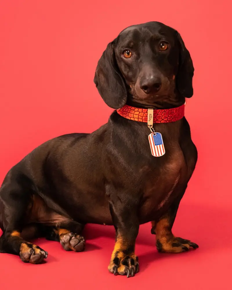 Usa Flag Pet Id Tag 1