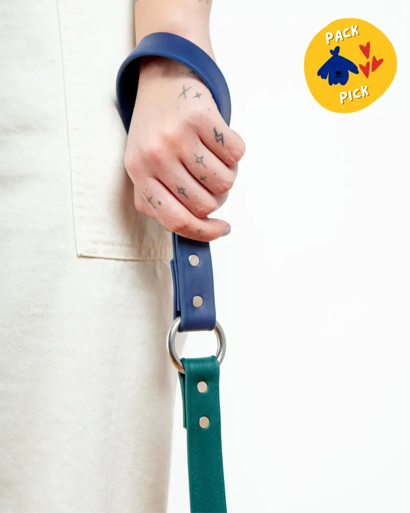 City Leash In Hunter Green & Navy (4 Or 6 Foot) (Made In The Usa) 1