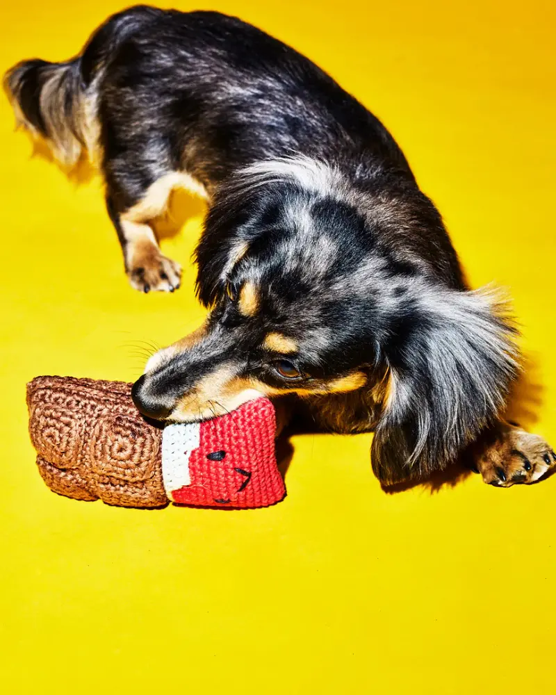 Cotton Crochet Chocolate Squeaky Dog Toy 1