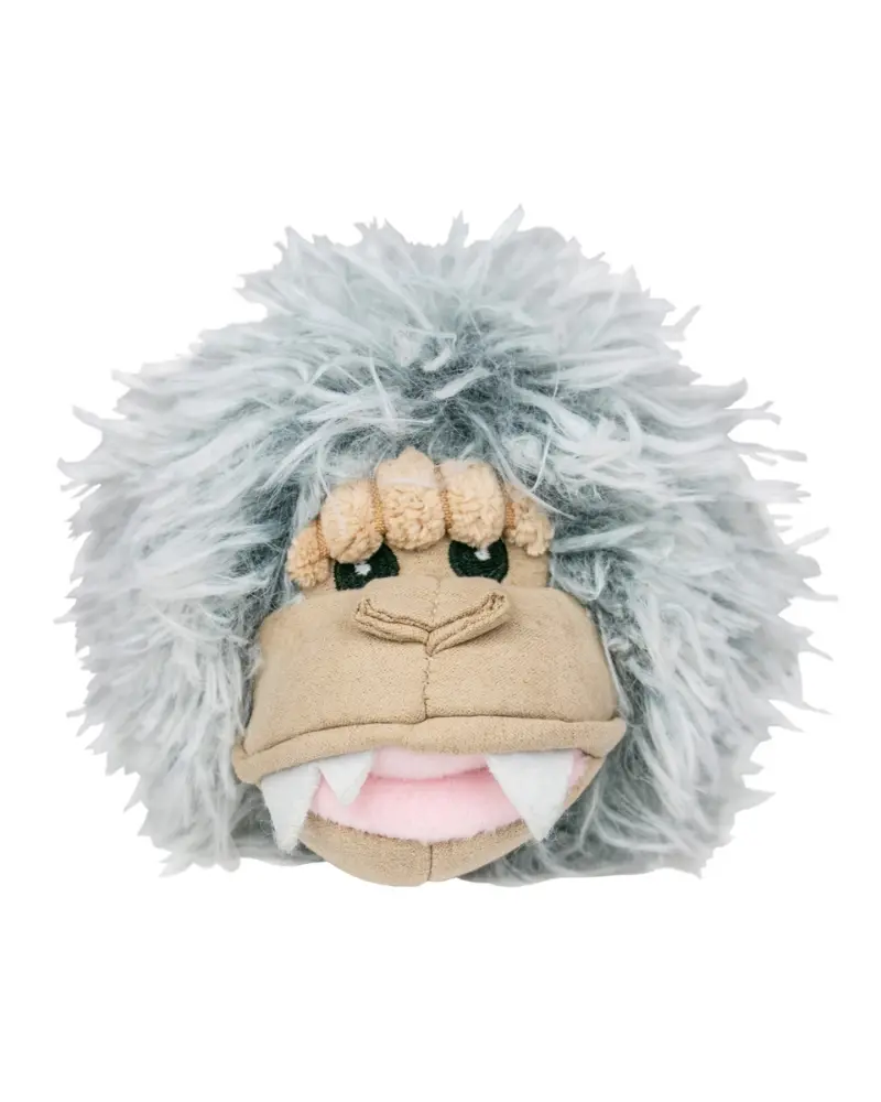 Yeti 2-In-1 Fetch Ball Dog Toy 1