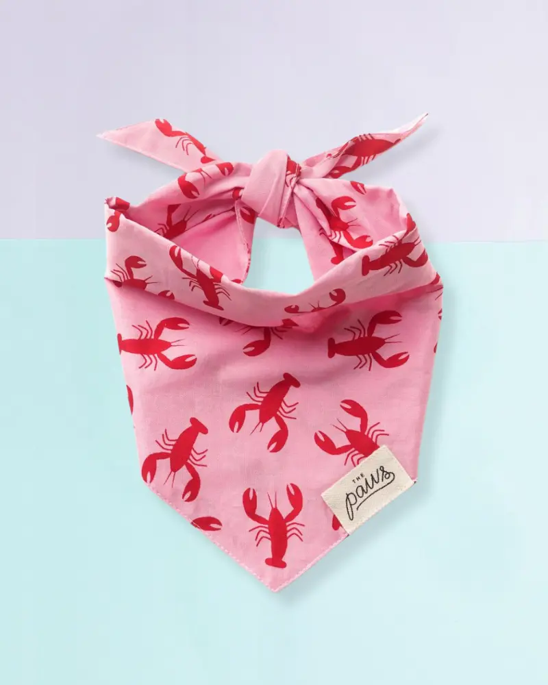 Frye Island Lobster Dog Bandana (Final Sale) 1