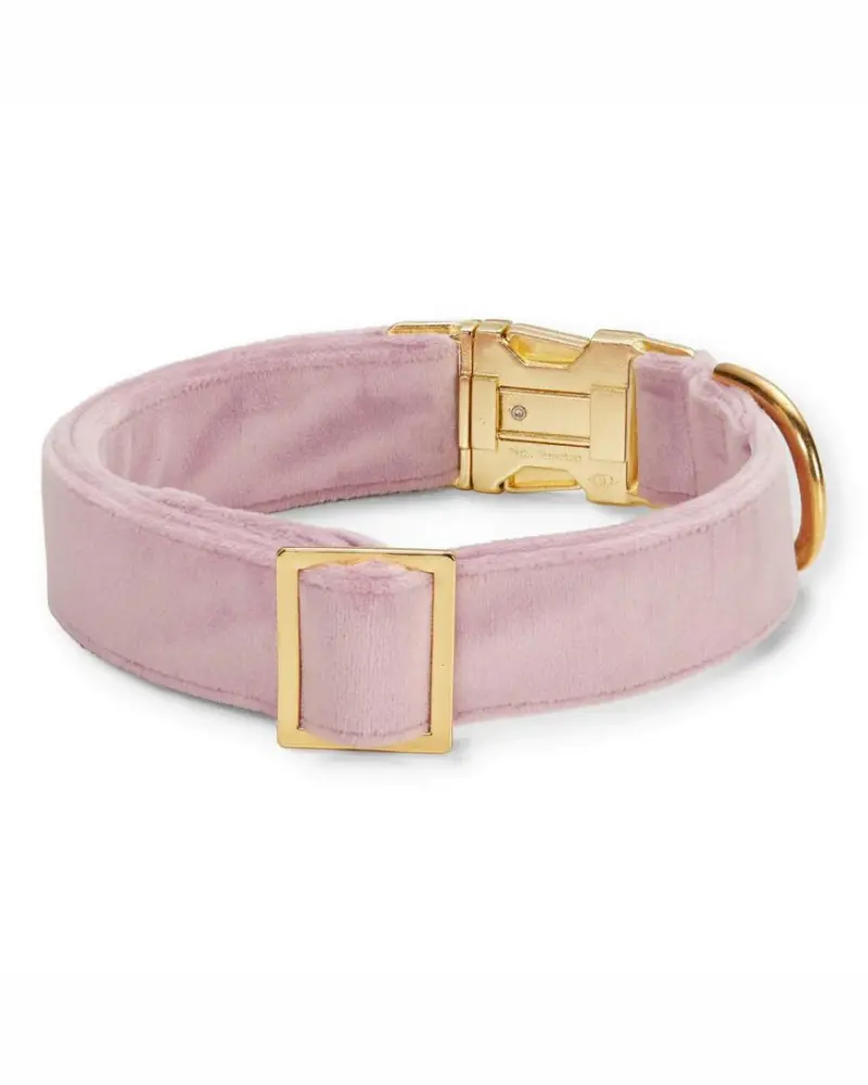Lilac Velvet Dog Collar (Made In The Usa) (Final Sale) 4
