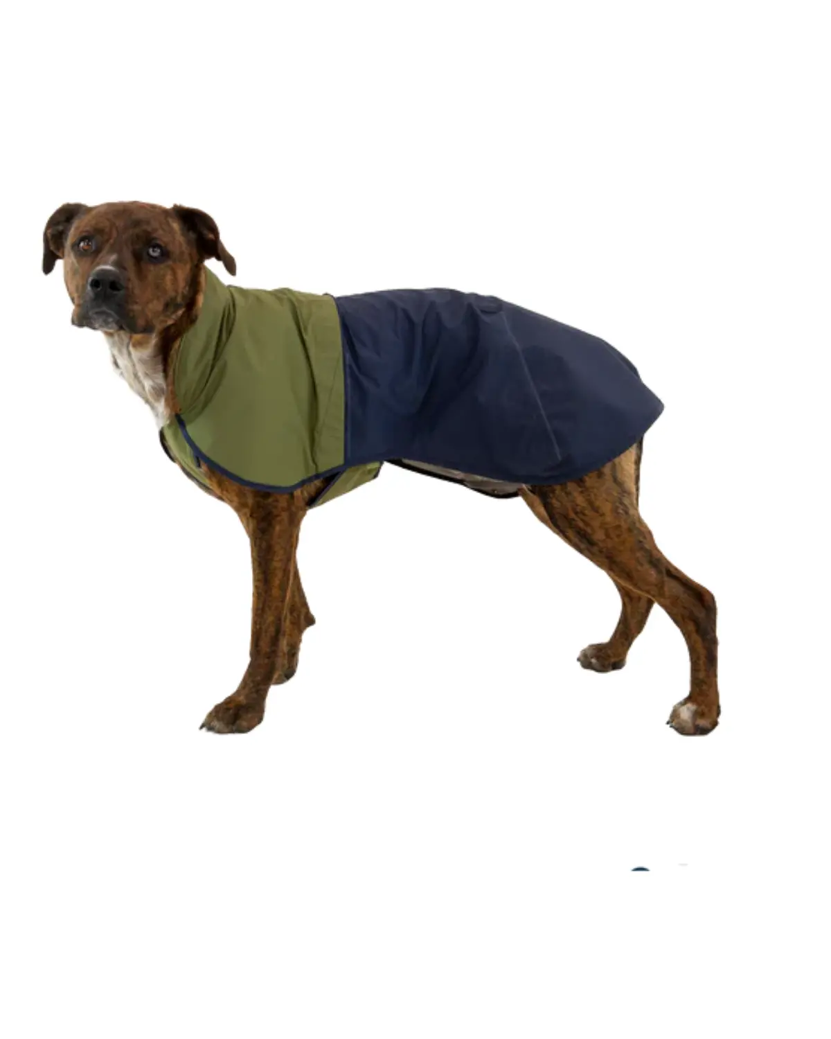 Sun Shower™ Dog Raincoat In Midnight Blue 1