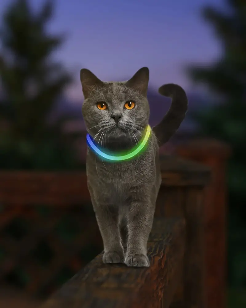 Nitemeow® Rechargeable Led Safety Cat Necklace 1