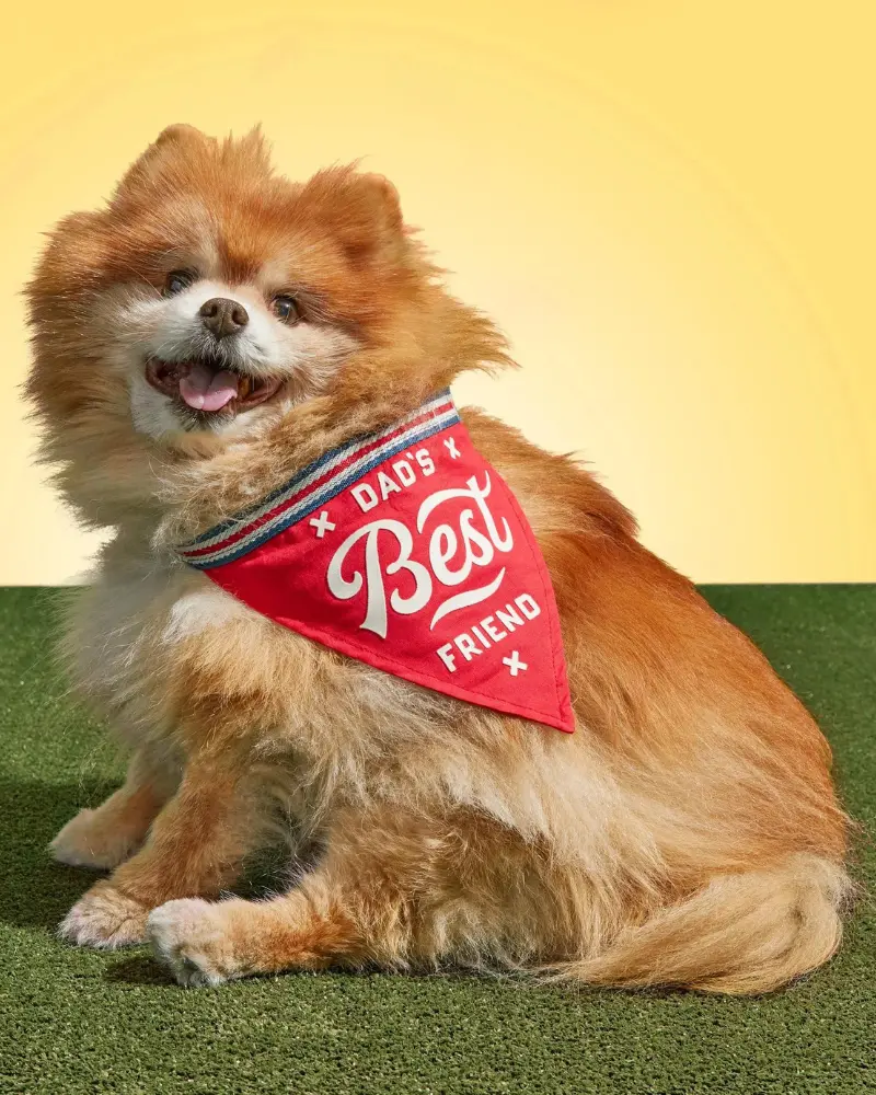 Dad's Best Friend Dog Bandana (Final Sale) 1