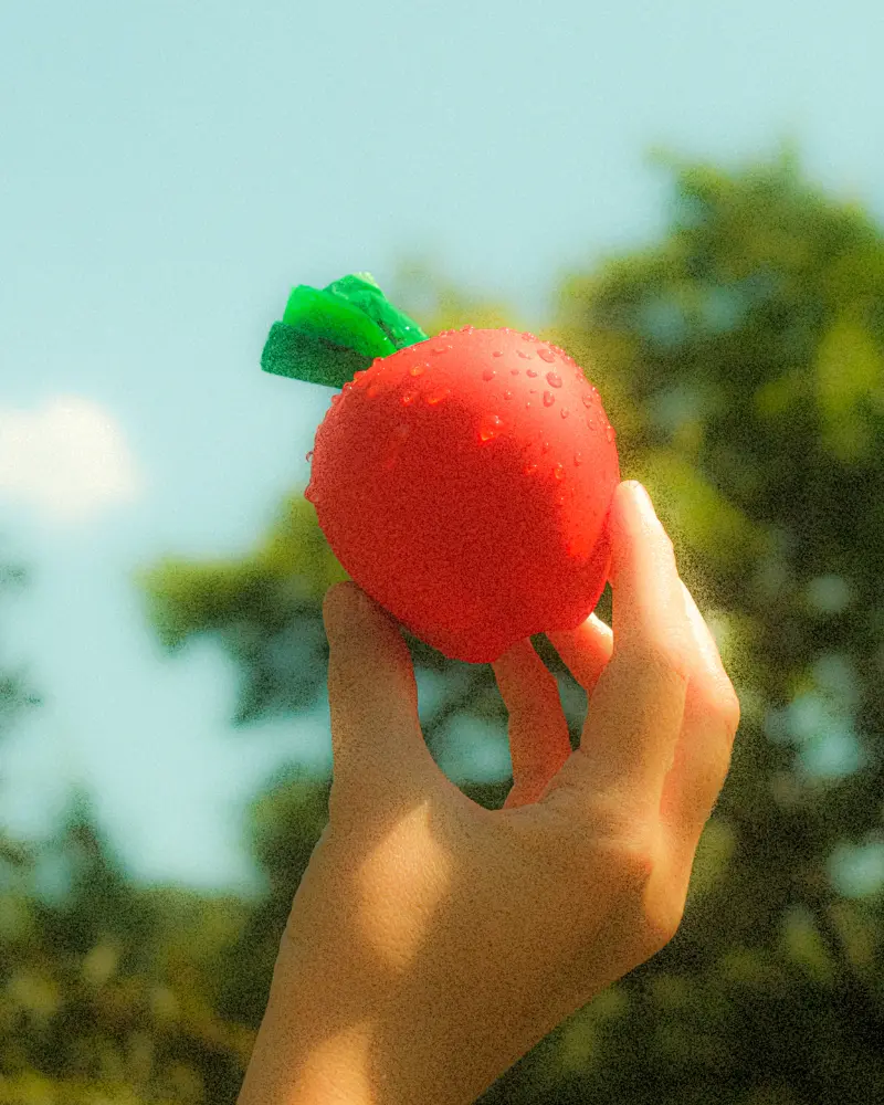 Apple Poop Bag Holder 1