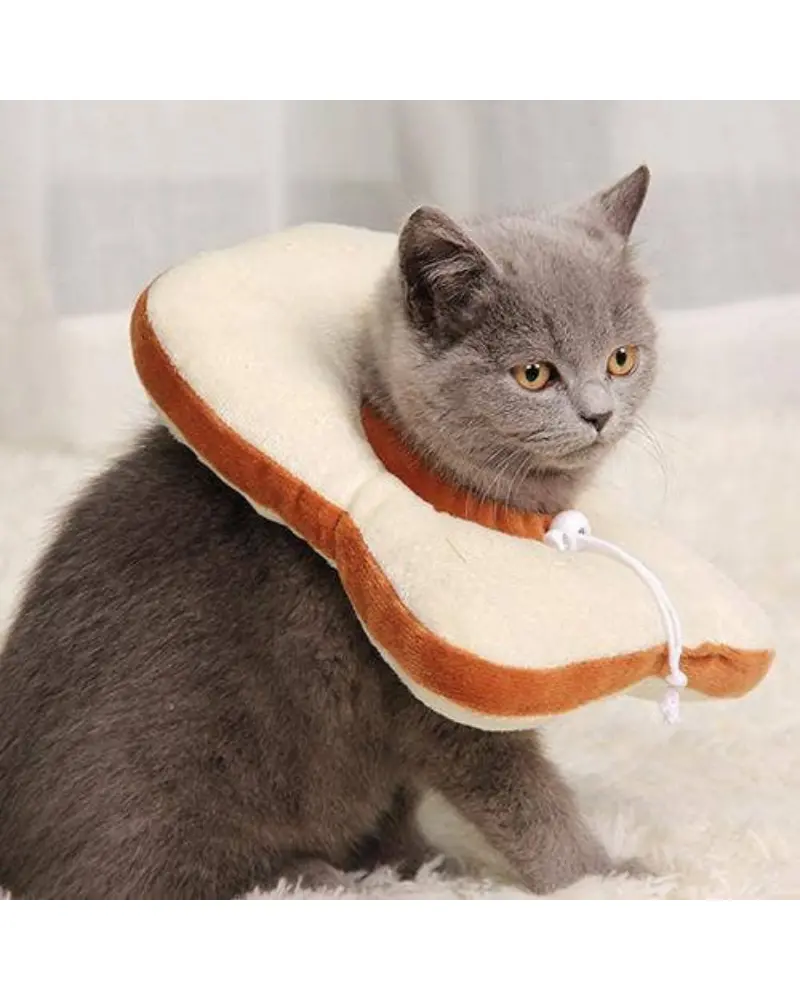 Small Dog Or Cat Bread Cone 1