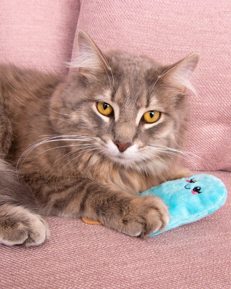 Catnip Fur-Ezze Pop Cat Plush Toy (Made In The Usa) 1