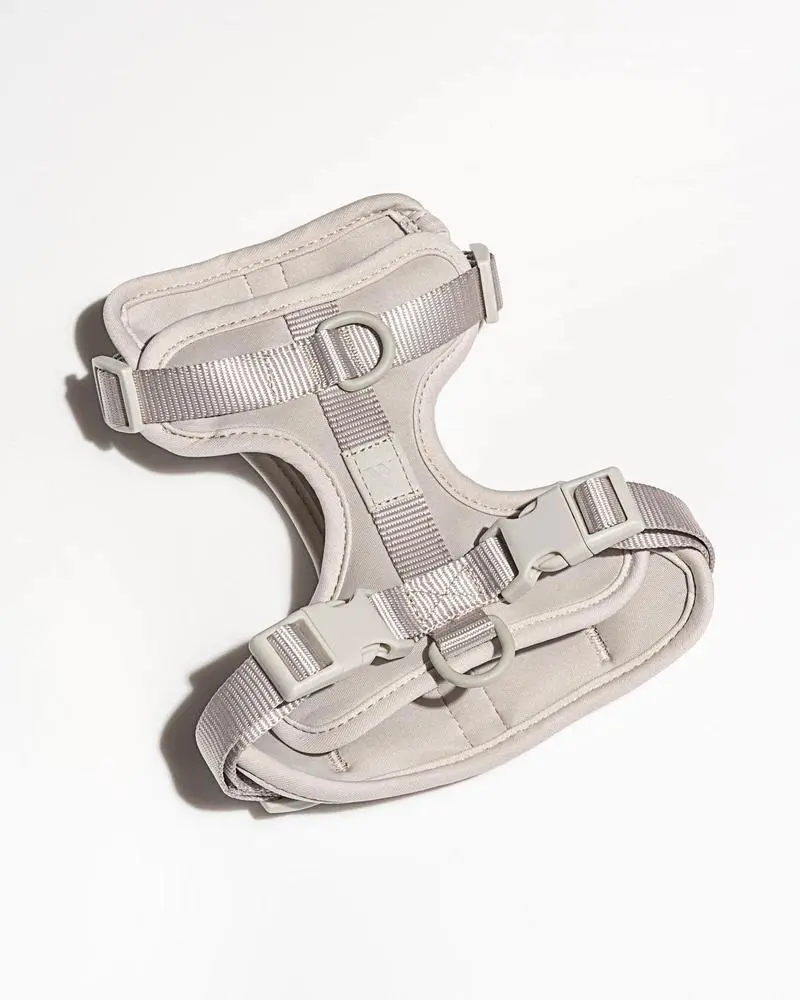 Cushioned Dog Harness In Grey (Final Sale) 1