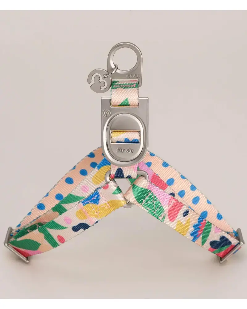 Gaston Step-In Dog Harness (Clearance) 1