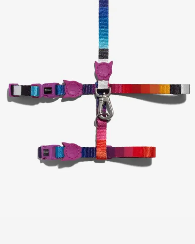 Prisma Cat Harness W/ Leash 1