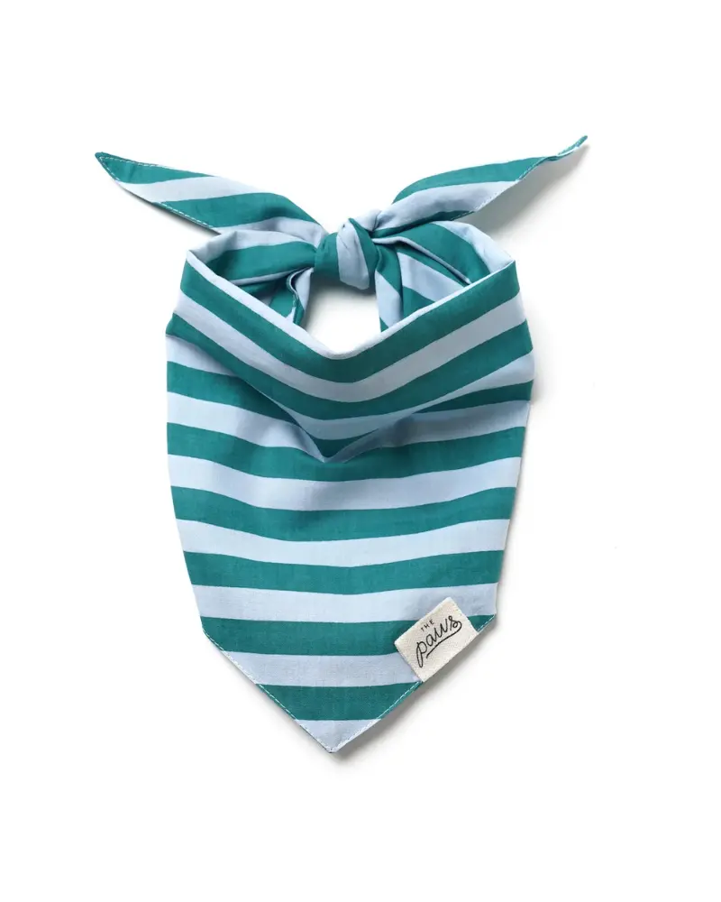 Gili Striped Dog Bandana 1