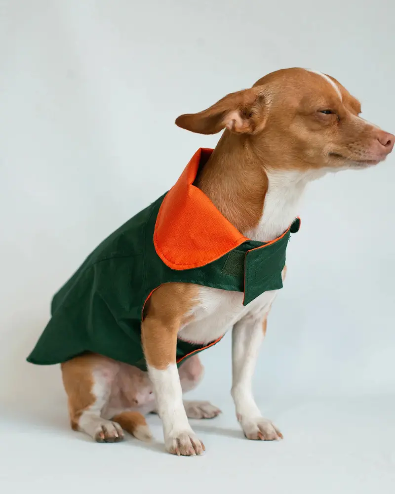 Reversible Dog Raincoat 1