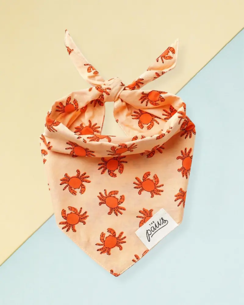 Mr. Crabby Dog Bandana (Final Sale) 1