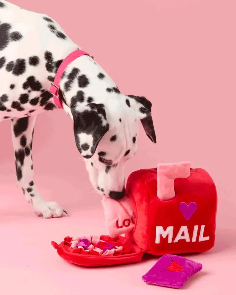 Love Letters Interactive Snuffle Dog Toy 1