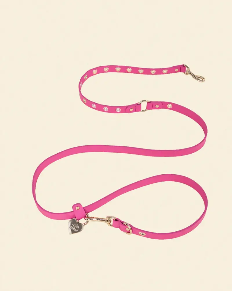 You Mean The World To Me Dog Leash In Peony 1