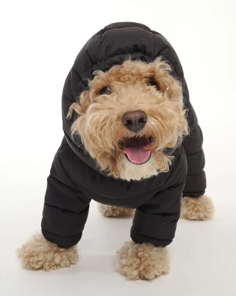 Padded Winter Coverall For Dogs W/ Hood 1
