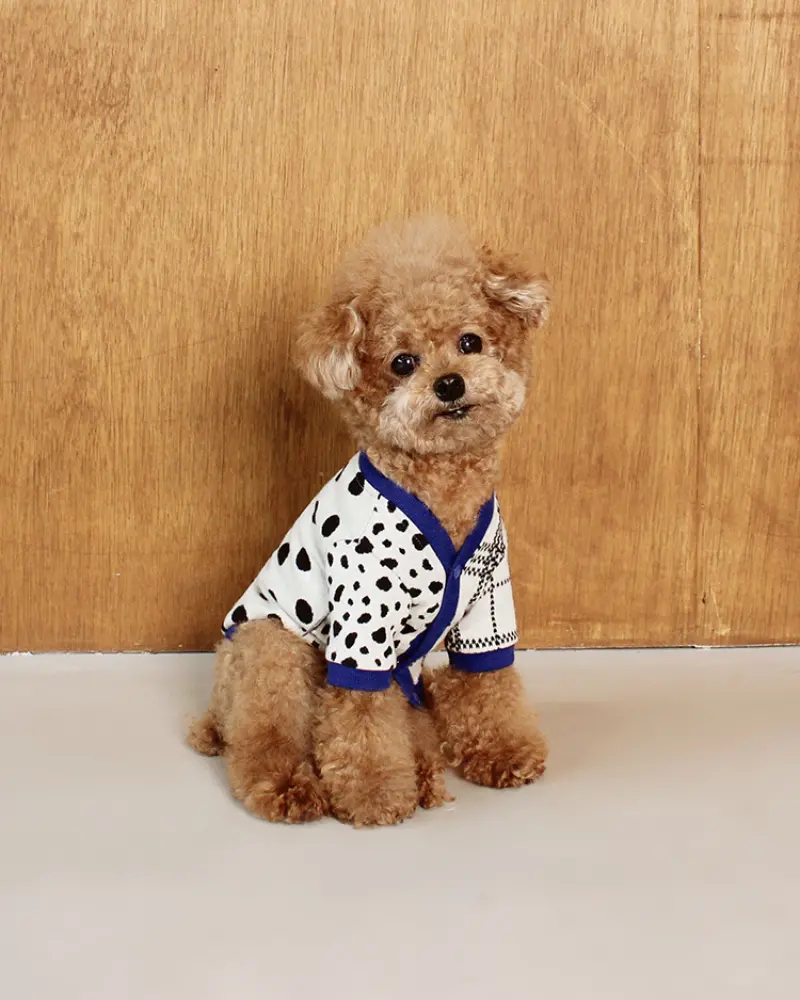 Dalmatian Dot Cardigan For Dogs (Final Sale) 1