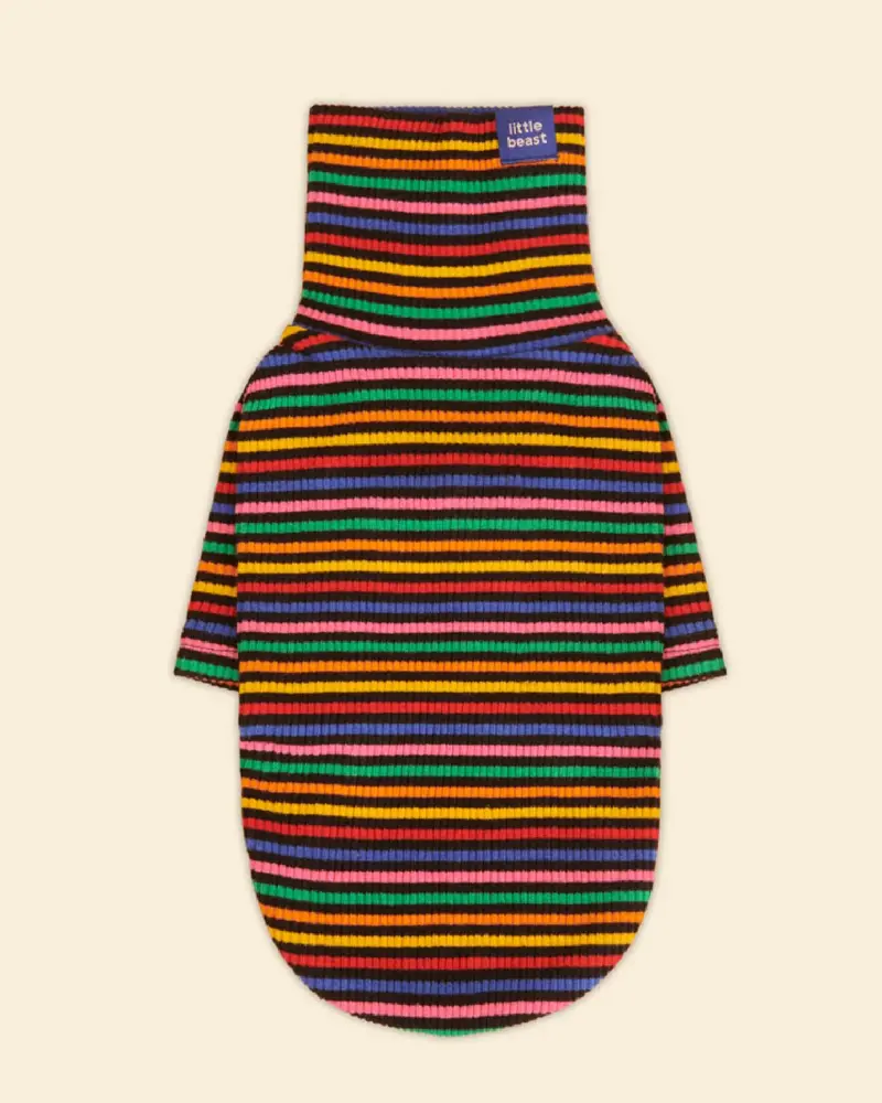Fantastic Ribbed Dog Pullover (Final Sale) 1