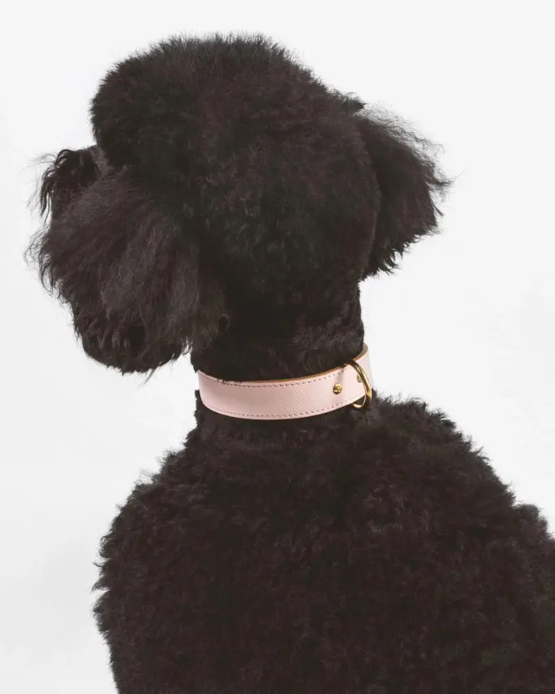 Moni Dog Collar In Blush Pink Leather (Made In Italy) (Final Sale) 1