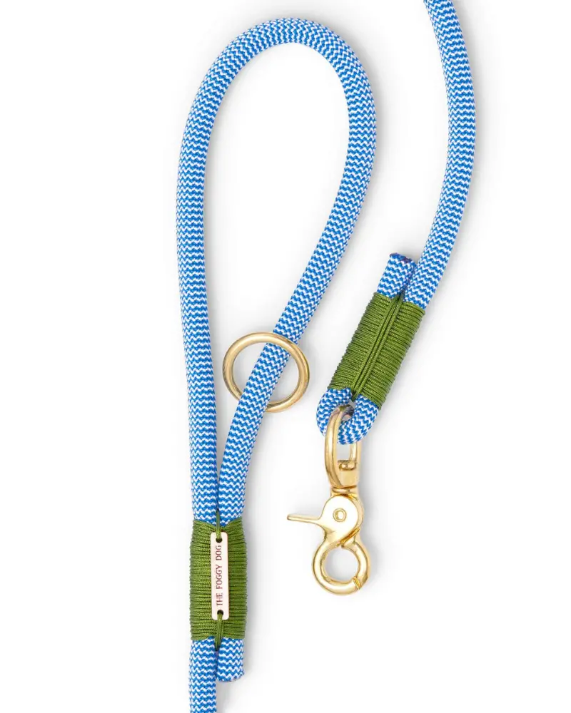 Tahoe Green & Blue Climbing Rope Dog Leash 1