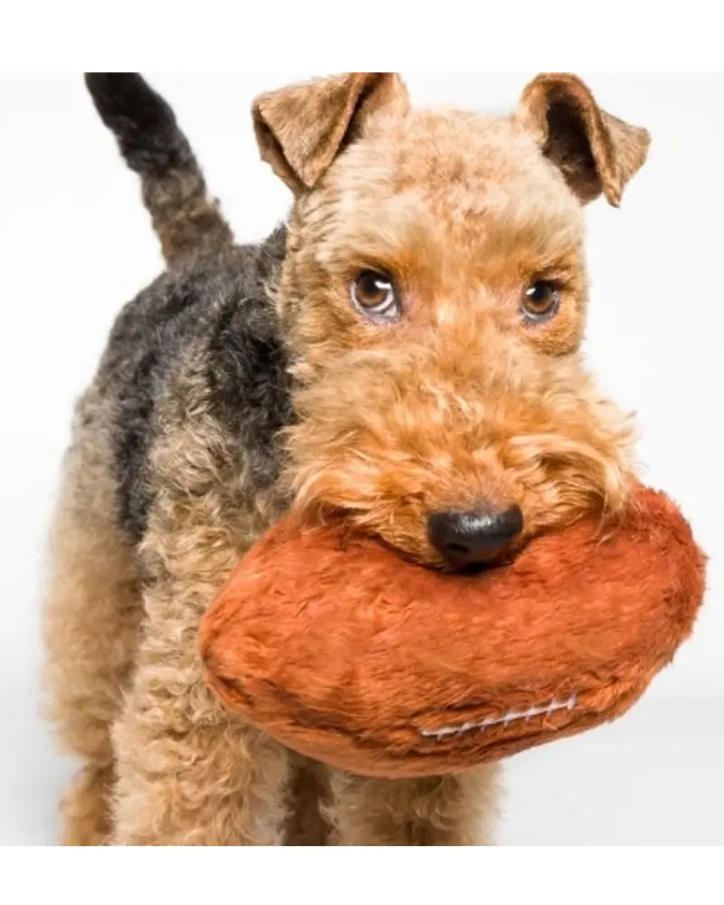 Plush + Squeaky Football Dog Toy 1