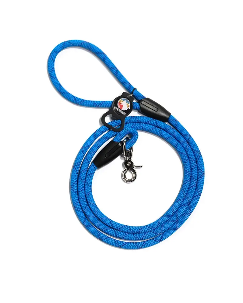 Classic Dog Leash In Clear Blue Sky (Made In The Usa) 1