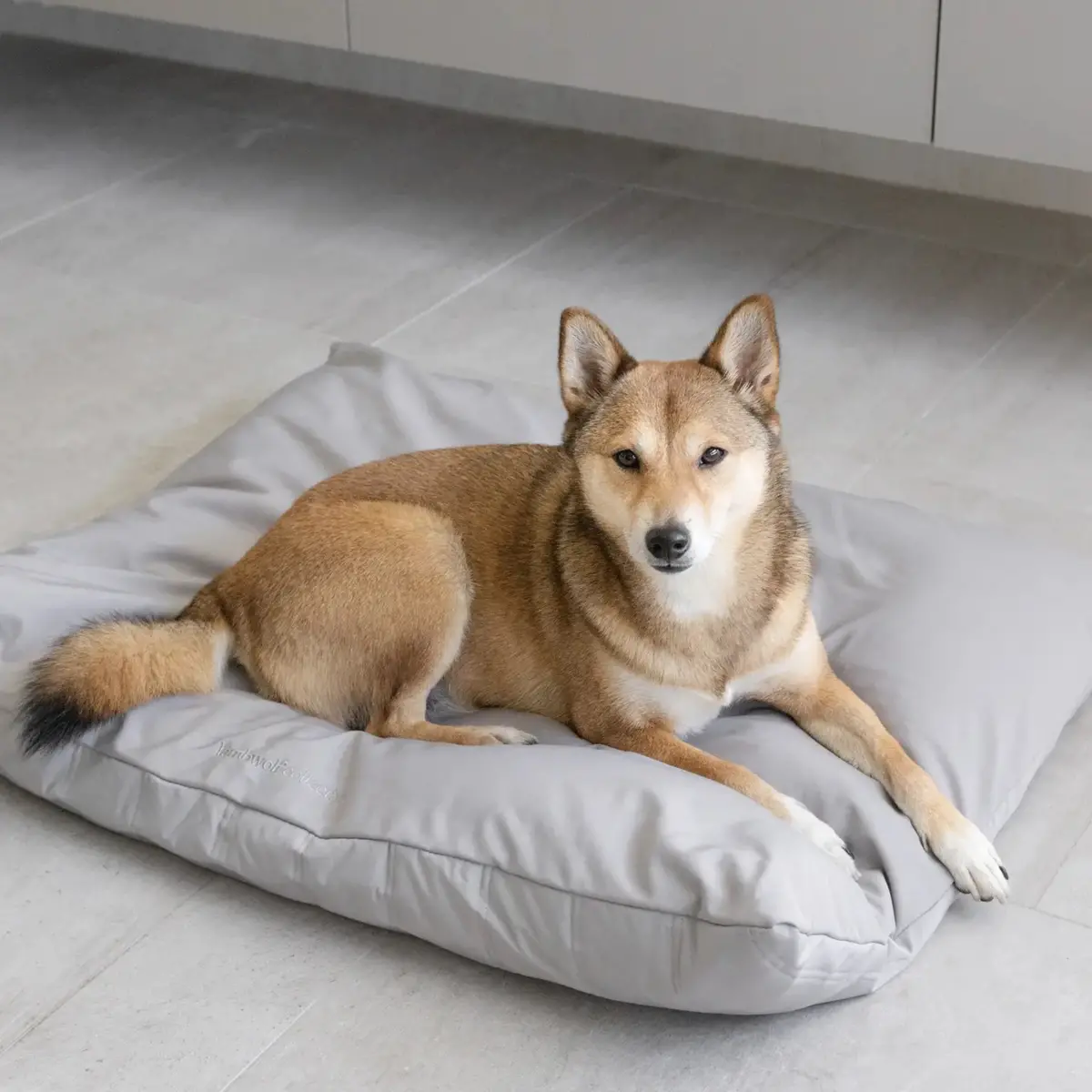 Maatin Reversible Memory Foam Pet Bed 1