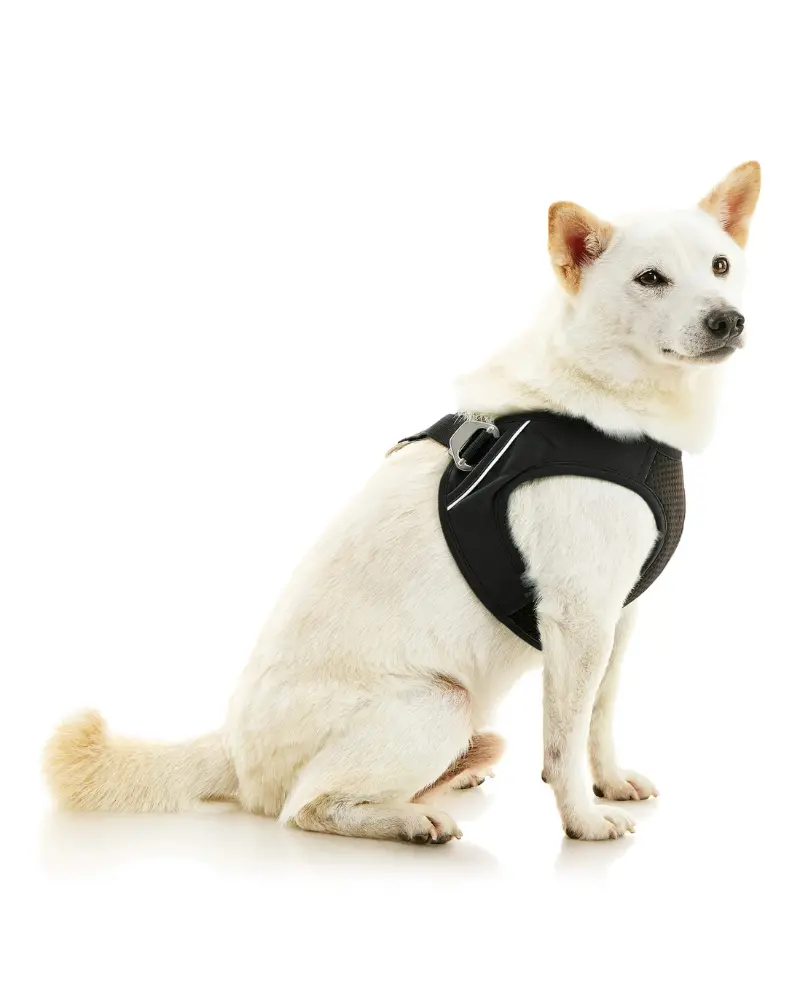 Escape-Free Easy Fit Plus Dog Harness (Final Sale) 1